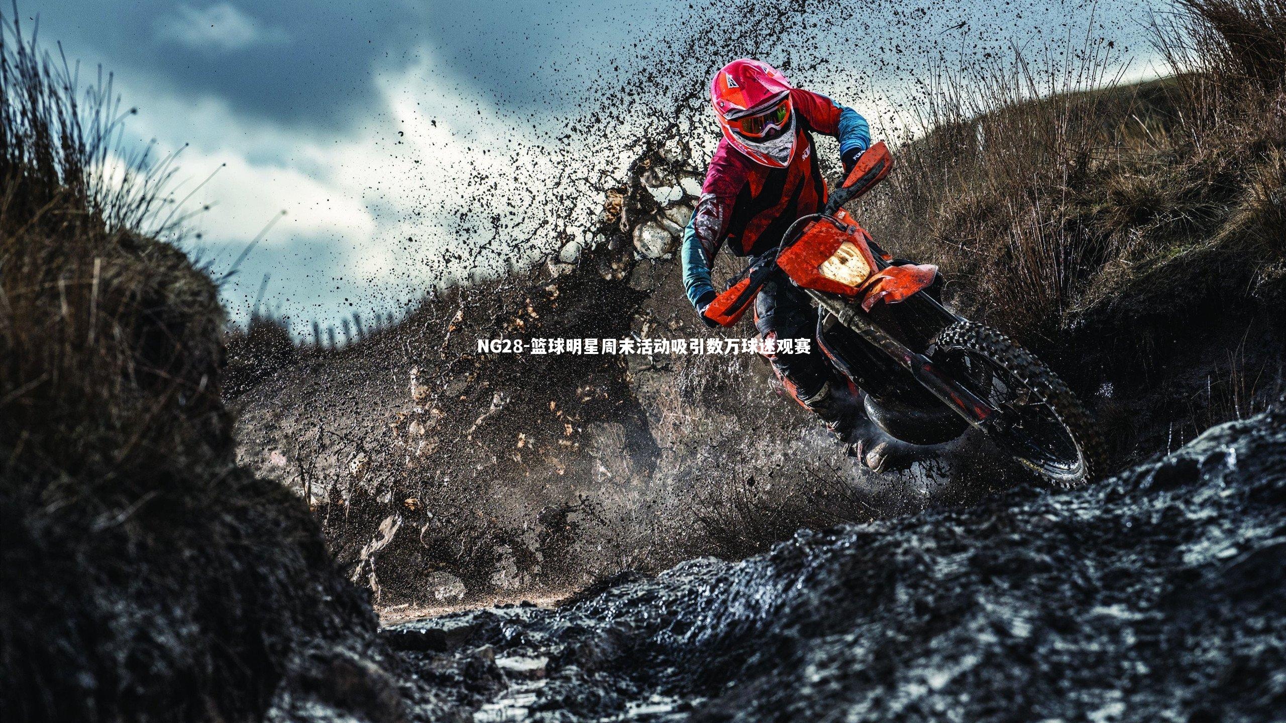 NG28-篮球明星周末活动吸引数万球迷观赛