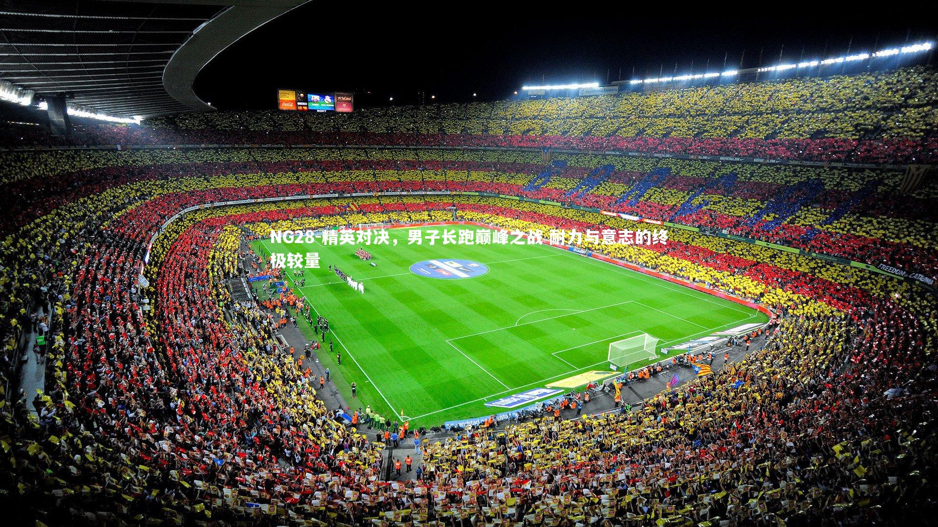 NG28-精英对决，男子长跑巅峰之战 耐力与意志的终极较量